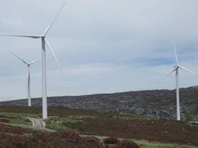 El Comité Olímpico Español elige a Grupo Ibereólica Renovables como “socio en exclusiva de Eficiencia Energética y Desarrollo de Energías Renovables”