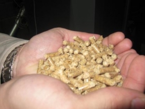 Biomasa y solar térmica, a la cabeza de las ayudas desde Aragón