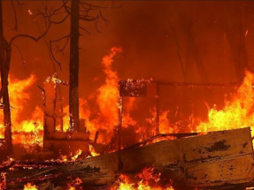 El mundo está ardiendo y es urgente revertir el curso del cambio climático