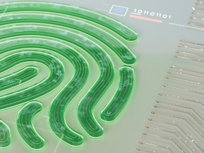La inteligencia artificial debe minimizar su demanda energética y beber de fuentes renovables o... no será inteligencia