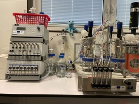 Desarrollan una técnica para obtener biocombustible del hueso de aceituna