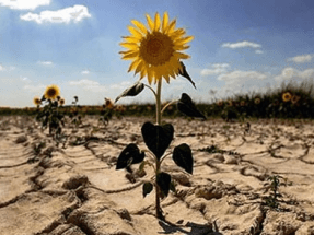 Alianza por el Clima considera insuficientes y desequilibradas las jornadas para debatir la Ley de Cambio Climático