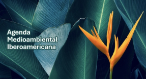 22 países impulsan una agenda ambiental específica para Iberoamérica