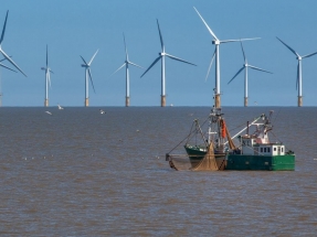 La eólica flotante se asoma a 7.500 kilómetros cuadrados de aguas españolas "con alto potencial"