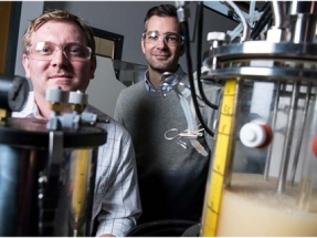 NREL Scientists Model Methane-Eating Bacteria