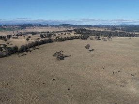 FRV consigue la financiación para una nueva planta solar en Australia
