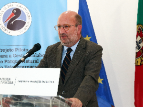 Las candidaturas para la subasta solar en Portugal superan en nueve veces la energía licitada