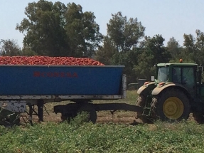 Enertika pondrá en marcha una instalación solar para autoconsumo en la fábrica de tomate frito Solís