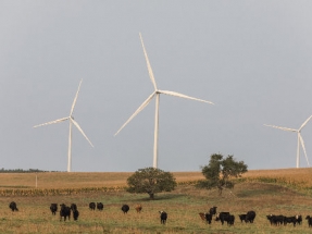 Ørsted entra en el mercado renovable de España con alianzas solares y eólicas