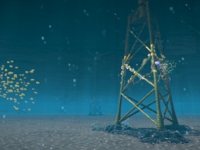 Ørsted quiere convertir los pilares submarinos de los aerogeneradores en refugio para corales