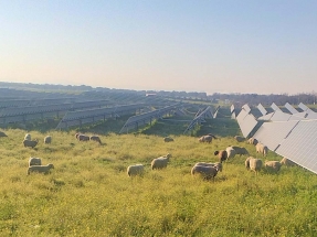 Luz verde para casi 1.000 megavatios fotovoltaicos de Solaria