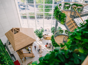 La comercializadora británica OVO Energy llega a España