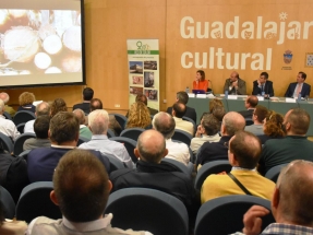 Guadalajara tendrá en dos años su red de calor con biomasa