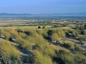 El desbloqueo del eje de alta tensión de Andalucía oriental da salida a mil megavatios de potencia renovable