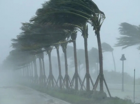 Siemens Gamesa suministrará turbinas a prueba de tifones a cuatro parques eólicos del Japón