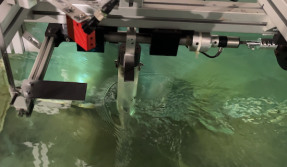 Cómo generar energía con un péndulo sumergido y la vibración del agua 