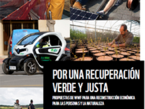 La “nueva normalidad” debe significar la apuesta por un modelo energético limpio, eficiente y renovable