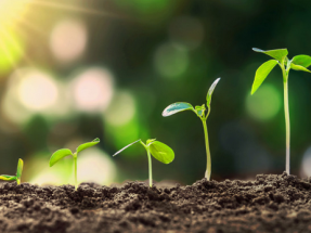 Nuevo proyecto para educar en eficiencia energética a los consumidores