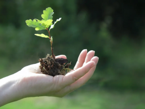El Climate Leaders Awards premia a la Fundación Renovables y a Ecogestiona