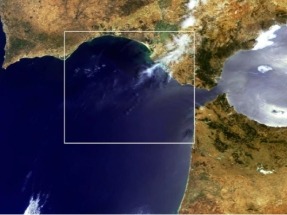 La biodiversidad y el Ejército paralizan el parque eólico que Ferrovial proyecta en aguas de Cádiz