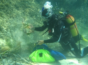 La energía y el medio ambiente marino se citan en Red Eléctrica de España