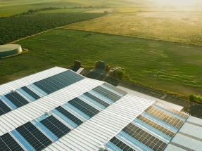 Grupo Quantum crece: nace Quantica Renovables