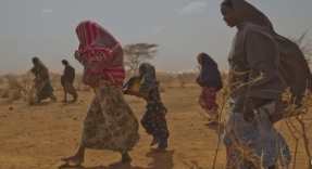  67.000 personas se ven obligadas a abandonar sus hogares cada día por desastres relacionados con el clima 