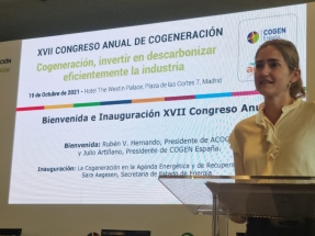 La subasta de cogeneración que ha anunciado hoy el Ministerio conllevará inversiones de más de 700 millones de euros