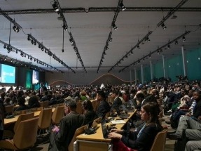 La Cumbre Mundial del Clima de Bakú deja una "profunda decepción" en SEO/BirdLife