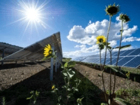 España está instalando el doble de potencia solar que Alemania, Italia, Reino Unido y Francia juntas