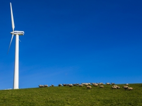 Los aerogeneradores del parque irlandés Castleraig serán Nordex