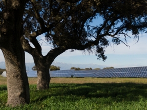 Talayuela Solar es distinguida con el Certificado de Excelencia de UNEF