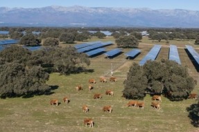 La planta fotovoltaica Talayuela II de Statkraft recibe el Sello de Excelencia en Sostenibilidad de UNEF