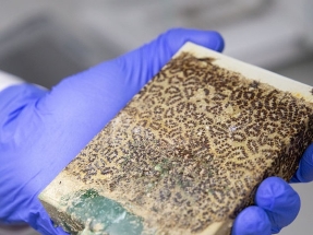 Sensores bajo la "piel" de los aerogeneradores offshore que detectan las agresiones que estos sufren en el entorno marino