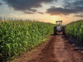 Brasil, líder en empleo en energías renovables en Latinoamérica