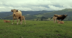 Greenpeace pide un sistema alimentario 100% agroecológico para frenar la desertificación en España
