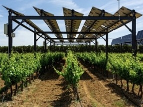 El proyecto agrovoltaico Go Solarwine impulsa la producción de vino sostenible