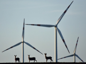 Bruselas, a punto de convertir su Taxonomía en la gran lavadora verde de las energías sucias