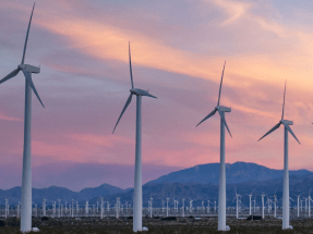 Wind Farms Can Offset Their Emissions Within Two Years, New Study Shows