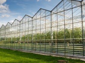 Wastewater at the Heart of Multi-Billion Pound Plan to Decarbonize British Horticulture