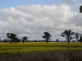 El Gobierno del estado australiano de Victoria respalda un megaparque fotovoltaico de 85 megavatios promovido por FRV