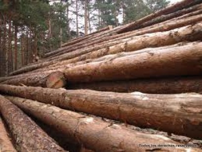 Husesolar estudia generar hidr&oacute;geno a partir de biomasa