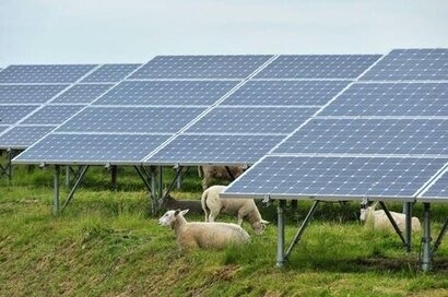 Danske Commodities expands renewables portfolio with new solar park in Poland