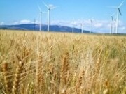 Vaisala supports SunEdison in purchase of First Wind Holdings