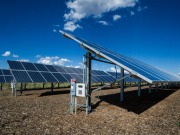 UK solar Centre issues new guidance on biodiversity at solar farms