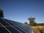 New study shows solar farms boost biodiversity