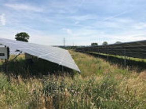 British Solar Renewables partners with Mongoose Energy on 50 MW community solar portfolio