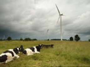 Europe added 12.5 GW of new wind capacity in 2016