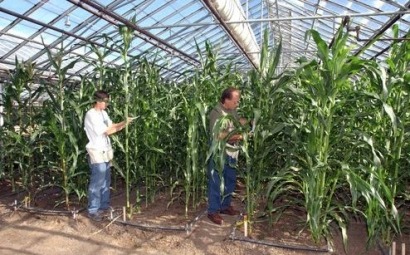 Corn-to-Ethanol Research Team spending summer spreading word of their efforts