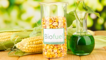 El Departamento de Energía destina 61 millones de dólares a proyectos de bioenergía